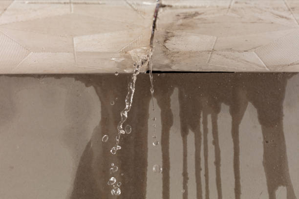 Professional Structural Drying technician working in Weston, MI